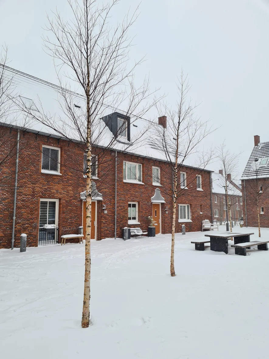 Een (sneeuw)wandeling door Schoemaker Plantage