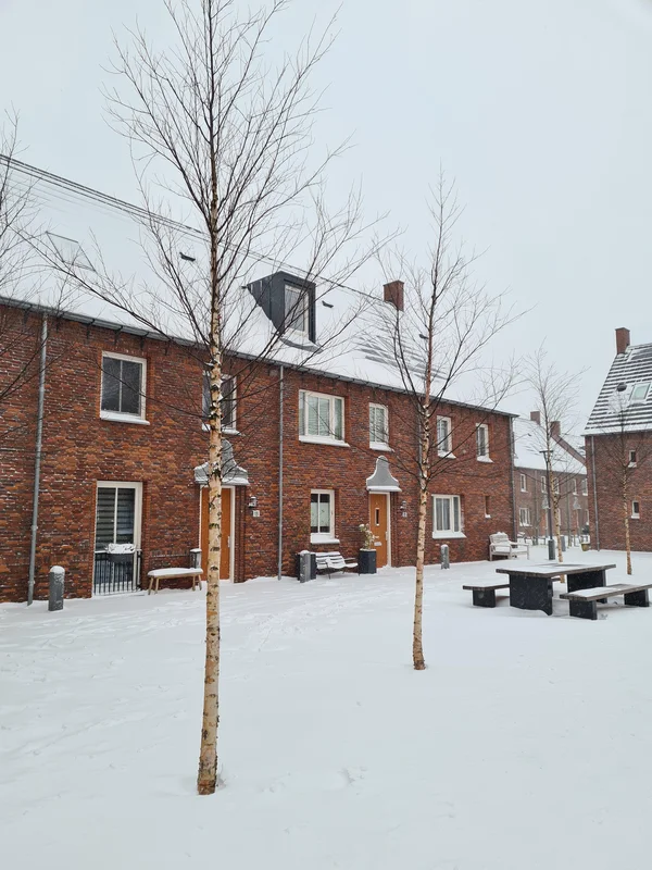 Een (sneeuw)wandeling door Schoemaker Plantage
