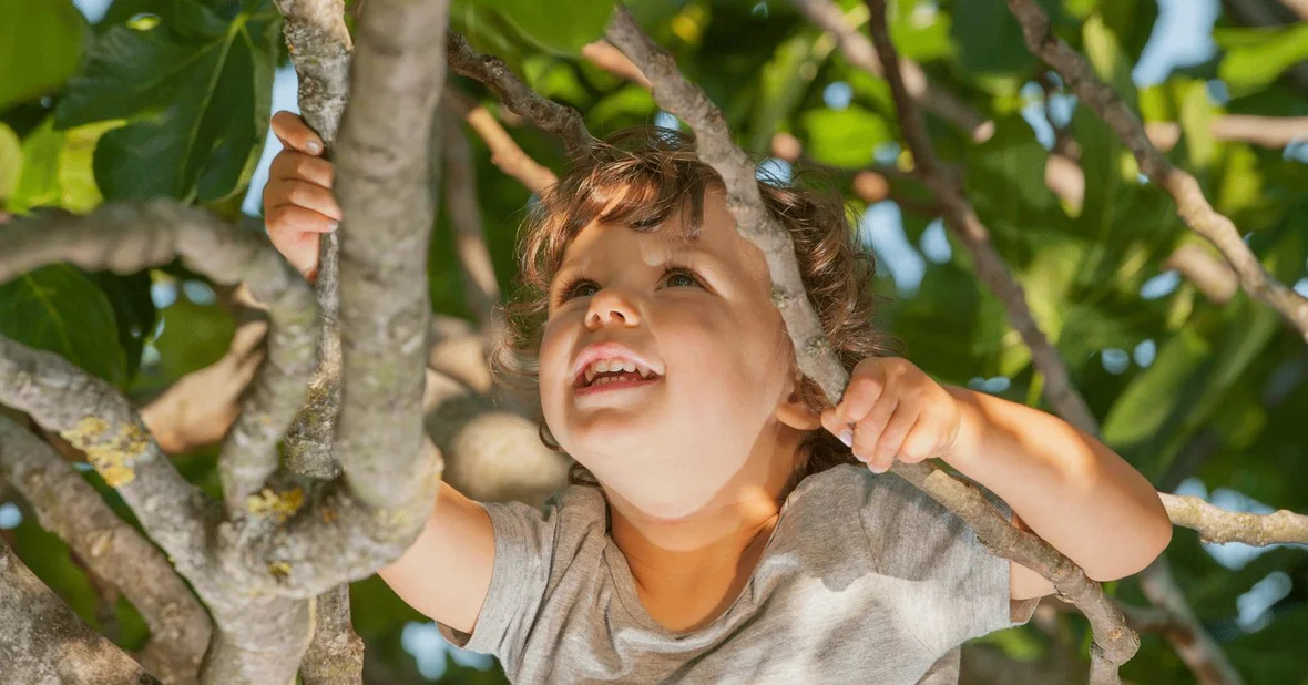 Schoemaker Plantage krijgt een eigen Tiny Forest