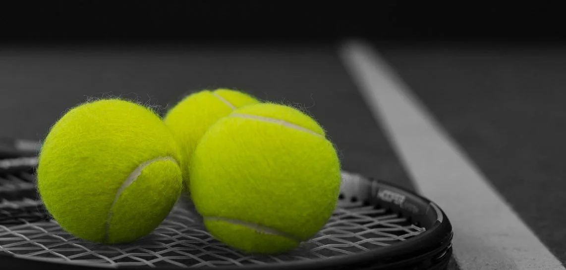 Tennispark De Delftse Hout