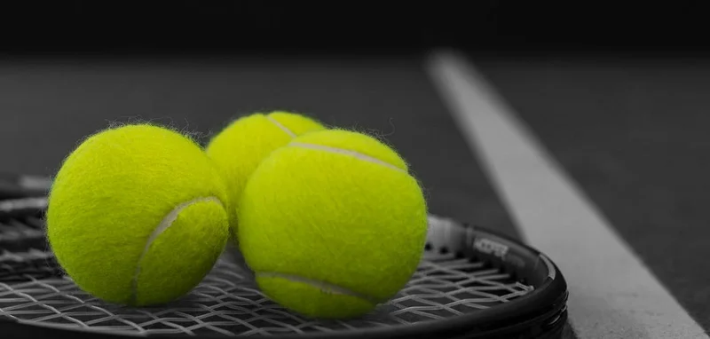 Tennispark De Delftse Hout